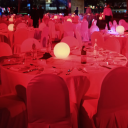 Aurora-Moonlight-25cm-e1639067766827