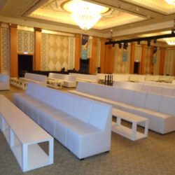 Chameleon-Single-Chairs-with-Devon-Coffee-Tables-1-e1643953508267 (1)