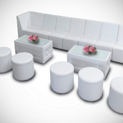 Chameleon-Streak-Set-Up-2-1-1 (1)