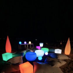 DSC04364-e1643884078814 (1)