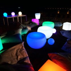 DSC04366-e1643884239241