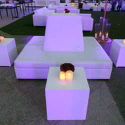 DSCN0876-2-1-e1643972405983 (1)