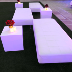 DSCN0877-1-1-e1643972420436 (1)