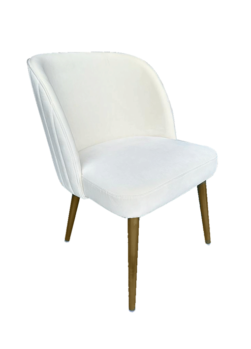 Ivory Velvet Dining Chair